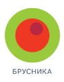 ГК «Брусника»