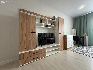 Квартира-студия: Новосибирск, Плющихинская улица, 3 (33м2)