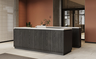 «Город-на-озере»